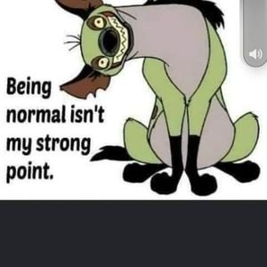 Meet your Posher, Stefanie